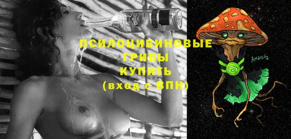 мяу мяу мука Фурманов