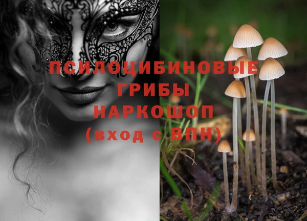 кокс Надым