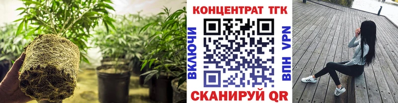 Дистиллят ТГК гашишное масло Юрга
